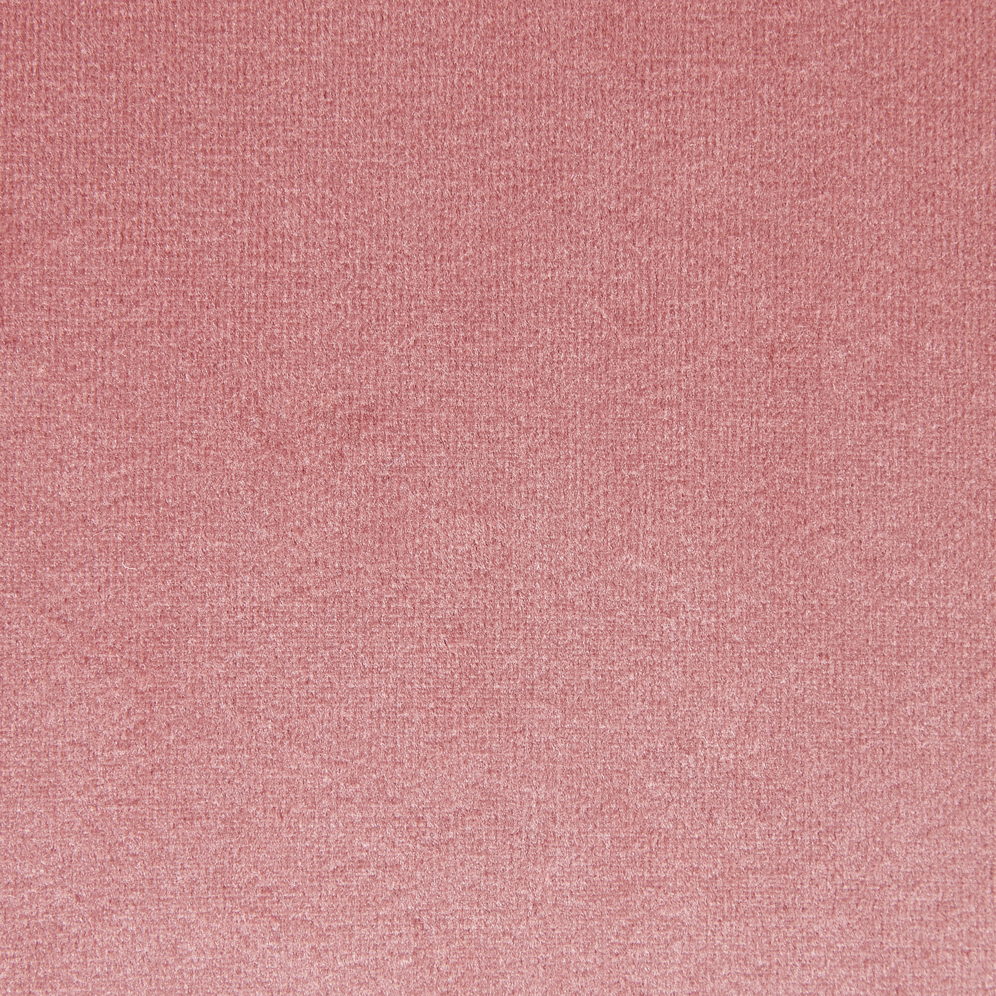 Esszimmerstuhl RACHEL Samtstoff Rosa