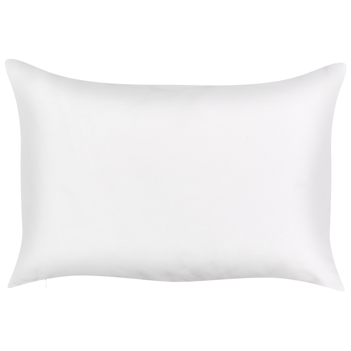Gartenkissen 2er Set TORBORA Pflanzenmuster 40 x 60 cm Weiss Blau