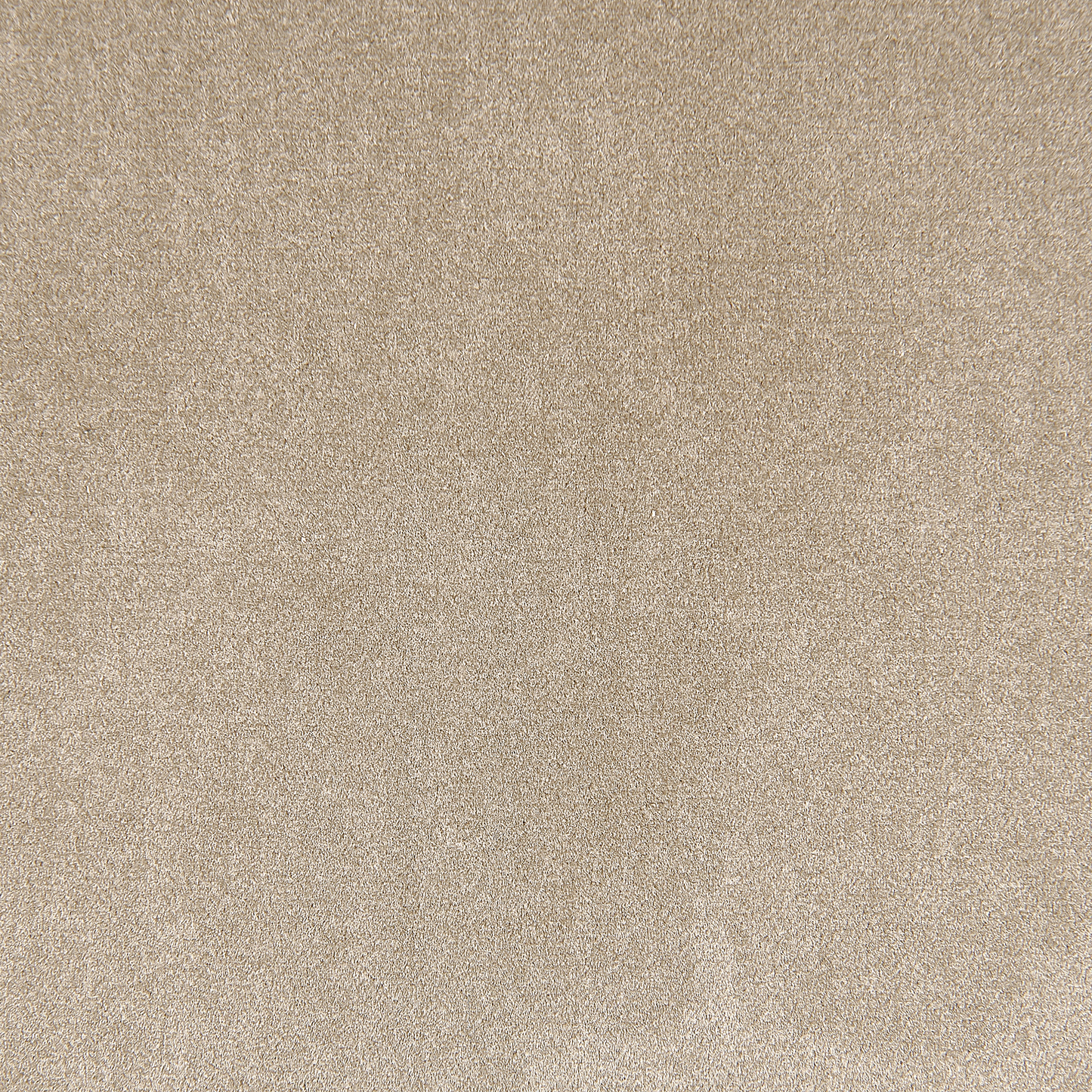 Sessel LANGA Samtstoff Taupe