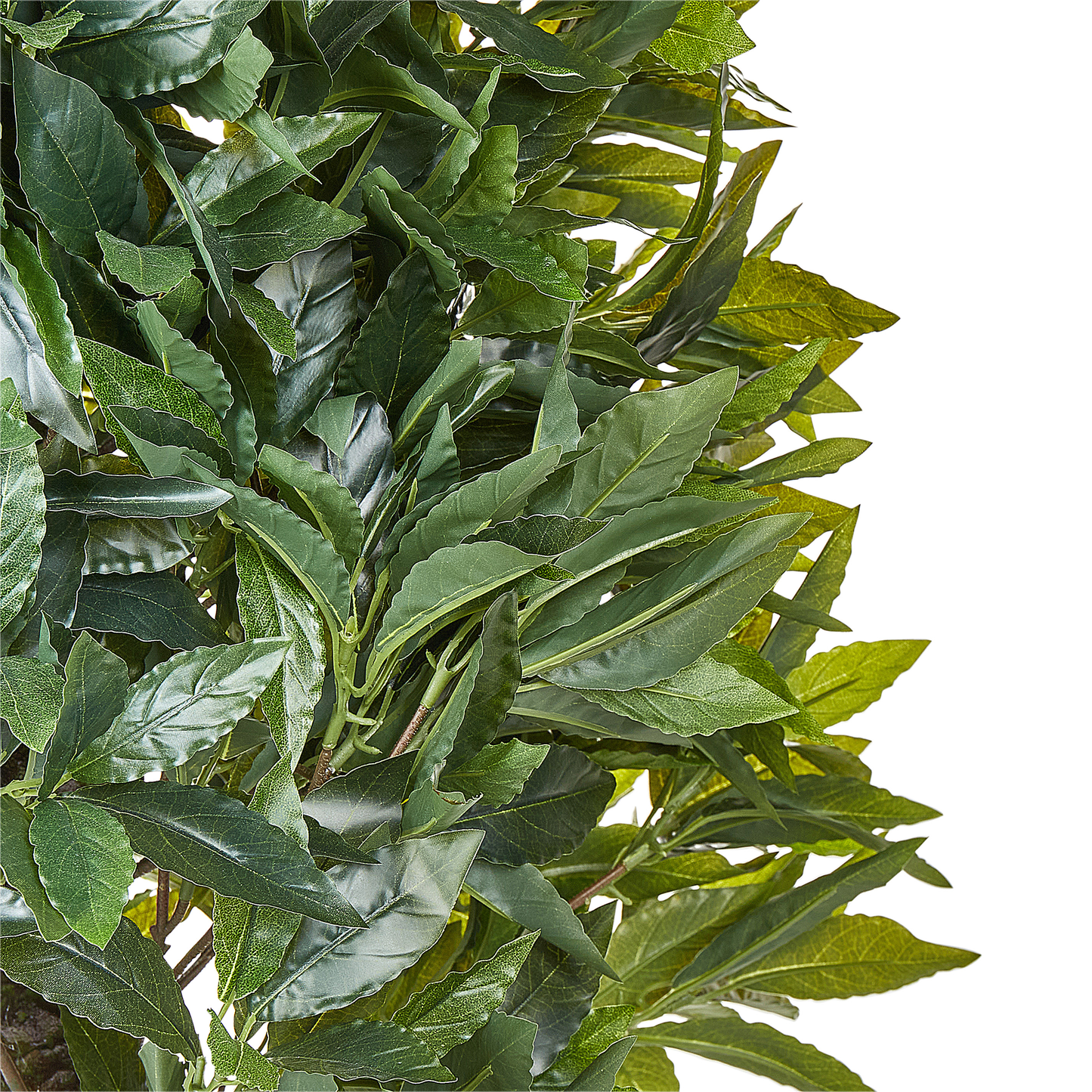 Kunstpflanze im Blumentopf 160 cm LAURELE