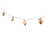 LED Lichterkette Maritim "Muschel" 10 LED L: 135cm
