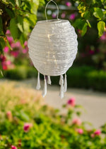 LED Solar Outdoor Lampion 
Weiss Oval 
H:30cm D:25cm 
5 LED - Warm weisses Licht