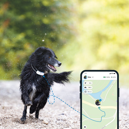 Tractive GPS DOG 4 - white