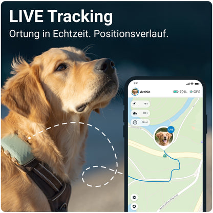 Tractive GPS DOG XL - green