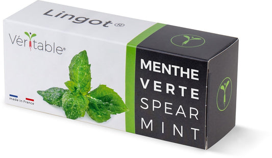 Véritable Lingot Spear Mint