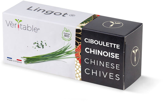 Véritable Lingot Chinese Chives - Organic
