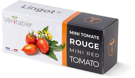 Véritable Lingot Red mini Tomato