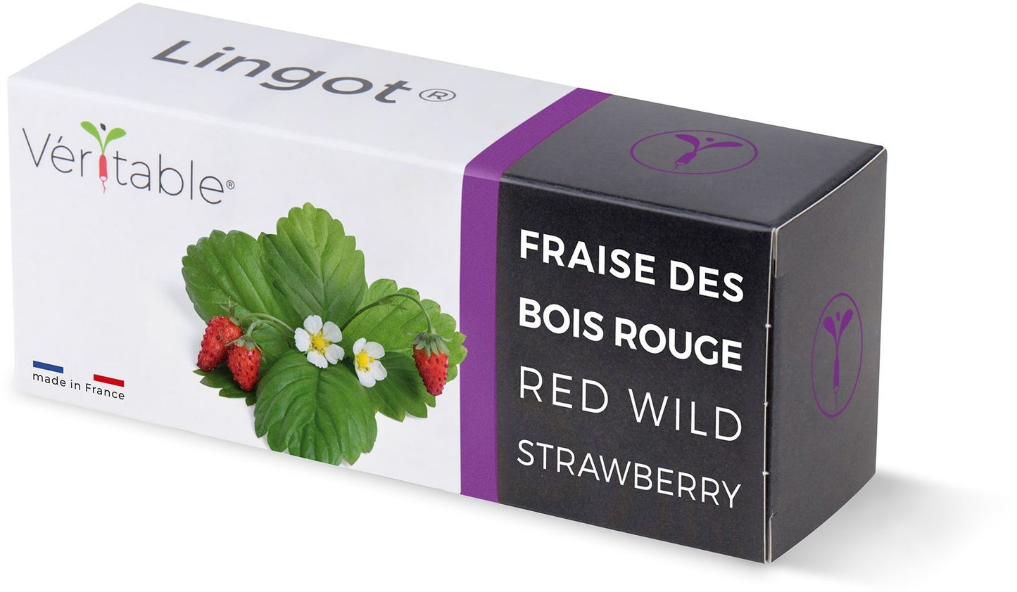 Véritable Lingot Wild Red Strawberry