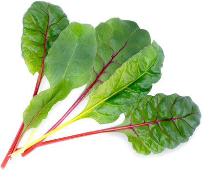 Véritable Lingot Swiss Chard - Organic