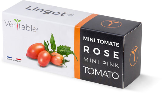 Véritable Lingot Pink Mini-Tomato