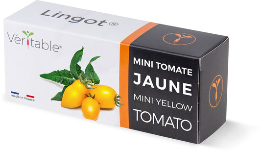 Véritable Lingot Yellow Mini-Tomato