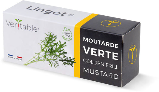 Véritable Lingot Golden Frills Mustard  - Organic