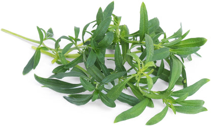 Véritable Lingot Wild Savory - Organic