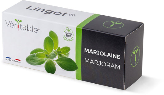 Véritable Lingot Marjoram - Organic