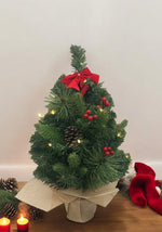 LED Weihnachtsbaum  mit 15 LED 
Lichterkette im Topf in Jute 
gewickelt D:25cm H:50cm