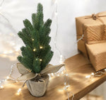 LED Tannenbaum im Topf H:50cm
mit 10 LED Lichterkette
Topf in Jute eingewickelt