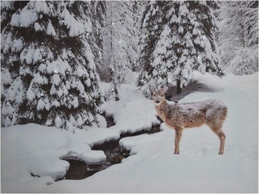 LED Bild aus Canvas - Motive: Reh
mit 35 Fibre Optics
B:40cm H:30cm T:1.8cm