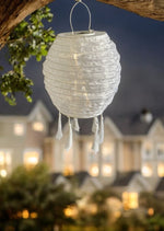 LED Solar Outdoor Lampion 
Weiss Oval 
H:30cm D:25cm 
5 LED - Warm weisses Licht