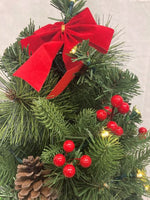 LED Weihnachtsbaum  mit 15 LED 
Lichterkette im Topf in Jute 
gewickelt D:25cm H:50cm