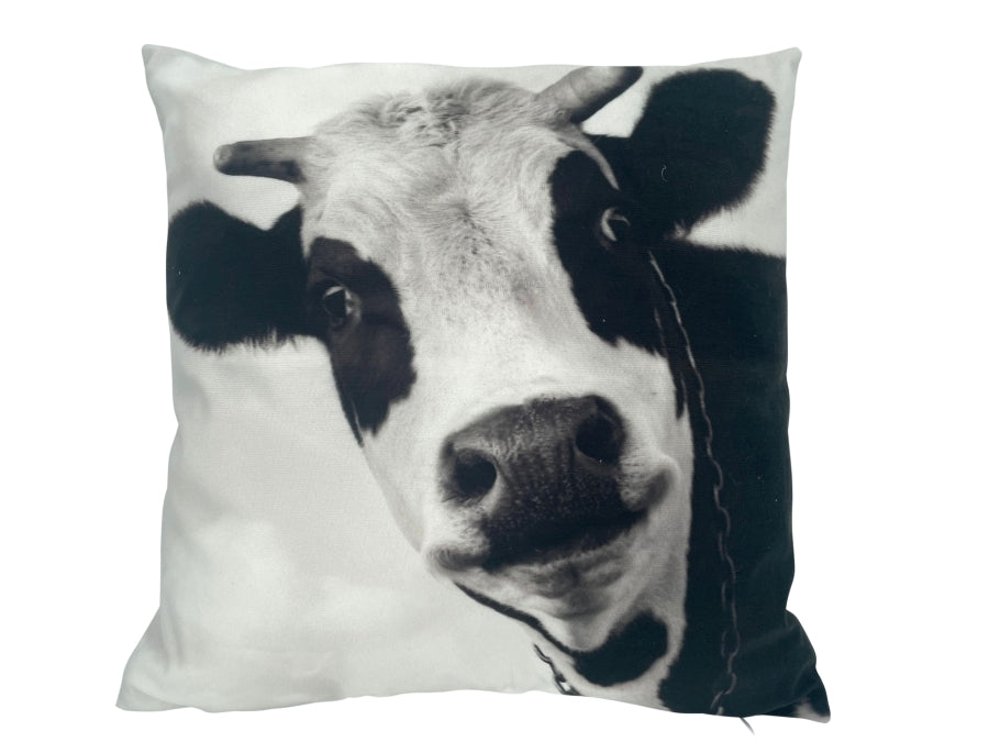 Kissen mit Kuh Motiv mit Reisverschluss Grösse: 40cmx40cm Digitaldruck einseitig