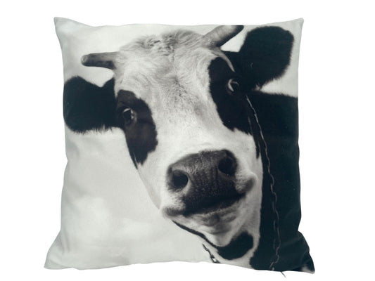 Kissen mit Kuh Motiv mit Reisverschluss Grösse: 40cmx40cm Digitaldruck einseitig