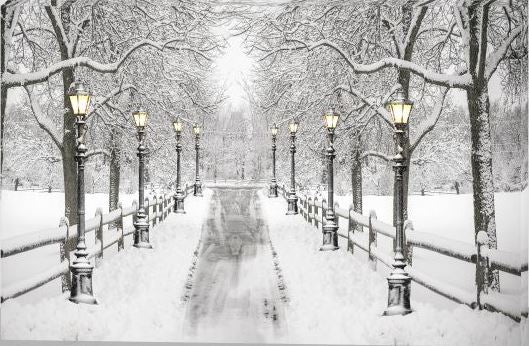 LED Bild aus Canvas mit 8 LED 
Motiv: Verschneite Allee 
B:40cm H:30cm T:1.8cm