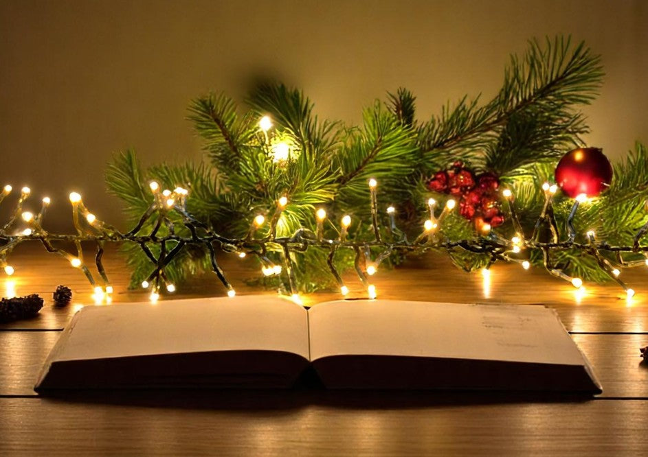 LED Outdoor "Cluster" Lichterkette 960 LED warm weisses Licht L: 960cm Kabelfarbe: Grün