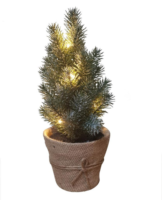 LED Tannenbaum im Topf 
mit 5 LED Lichterkette
mit wenig Schnee bedeckt
D:18cm H:30cm