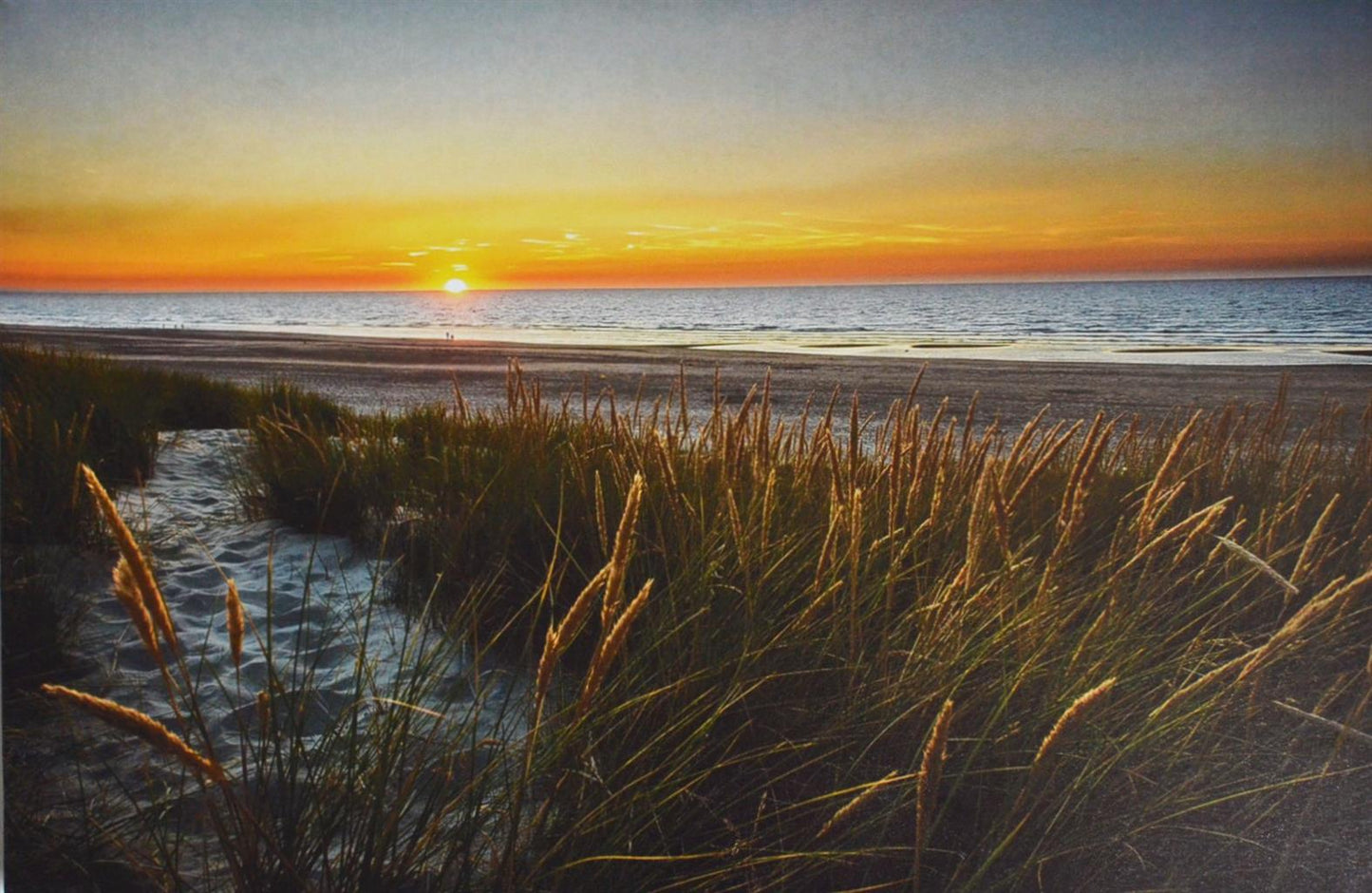 LED Bild aus Canvas H:40cm
Motive: Sonnenaufgang Strand
mit 1 LED
L:60cm B:1.8cm H:40cm