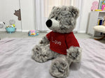 Plüschbär sitzend mit rotem T-Shirt LOVE Grösse15x21x20cm