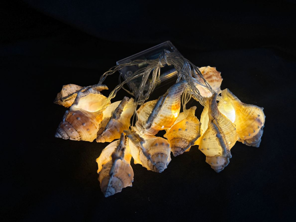 LED Lichterkette Maritim "Muschel" 10 LED L: 135cm