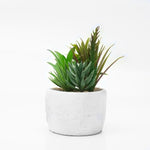 Kunstblume Sukkulenten im Beton Topf  "Welcome" 
H: 16cm B: 20cm T: 11cm
