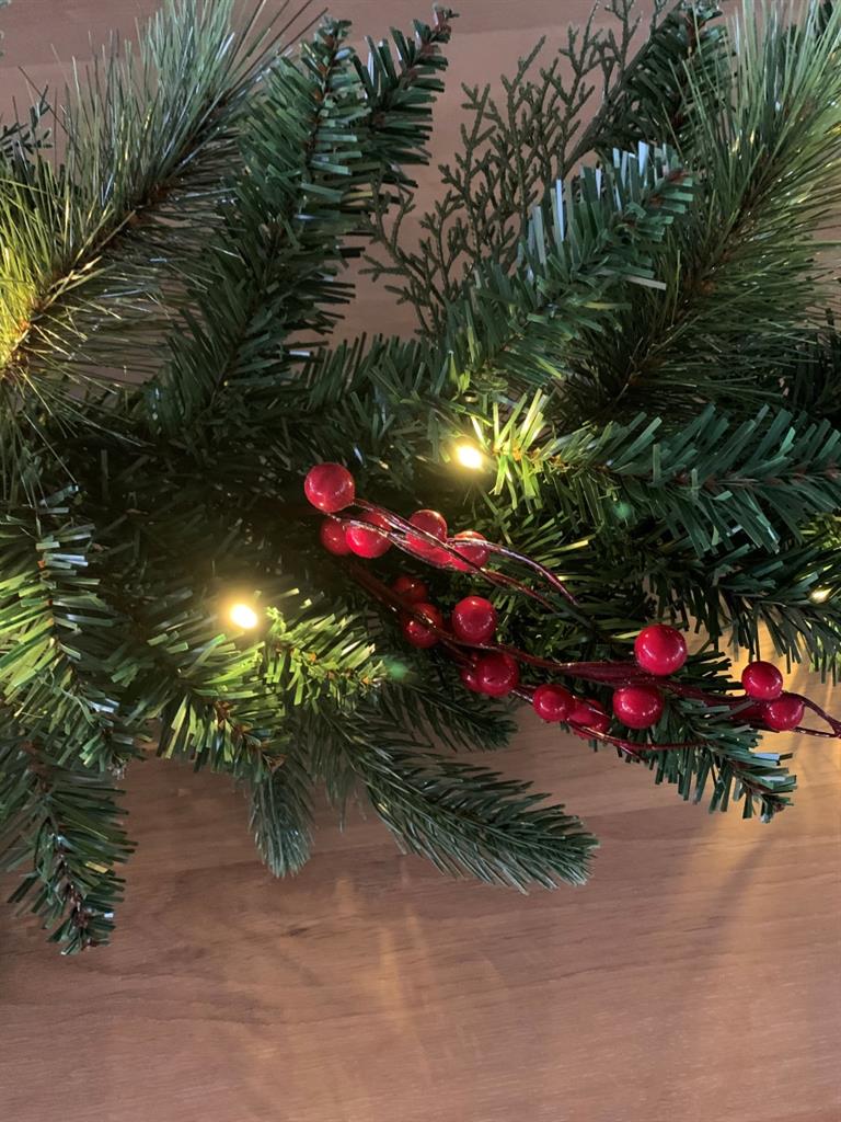 LED Outdoor Tannengirlande
mit 35 LED,
dekoriert mit Beeren
D: 28cm L: 270cm