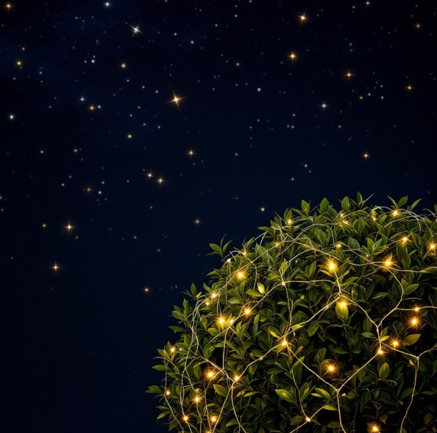 LED Outdoor Lichternetz 240 LED warm weisses Licht 150x150cm Kabelfarbe: Grün