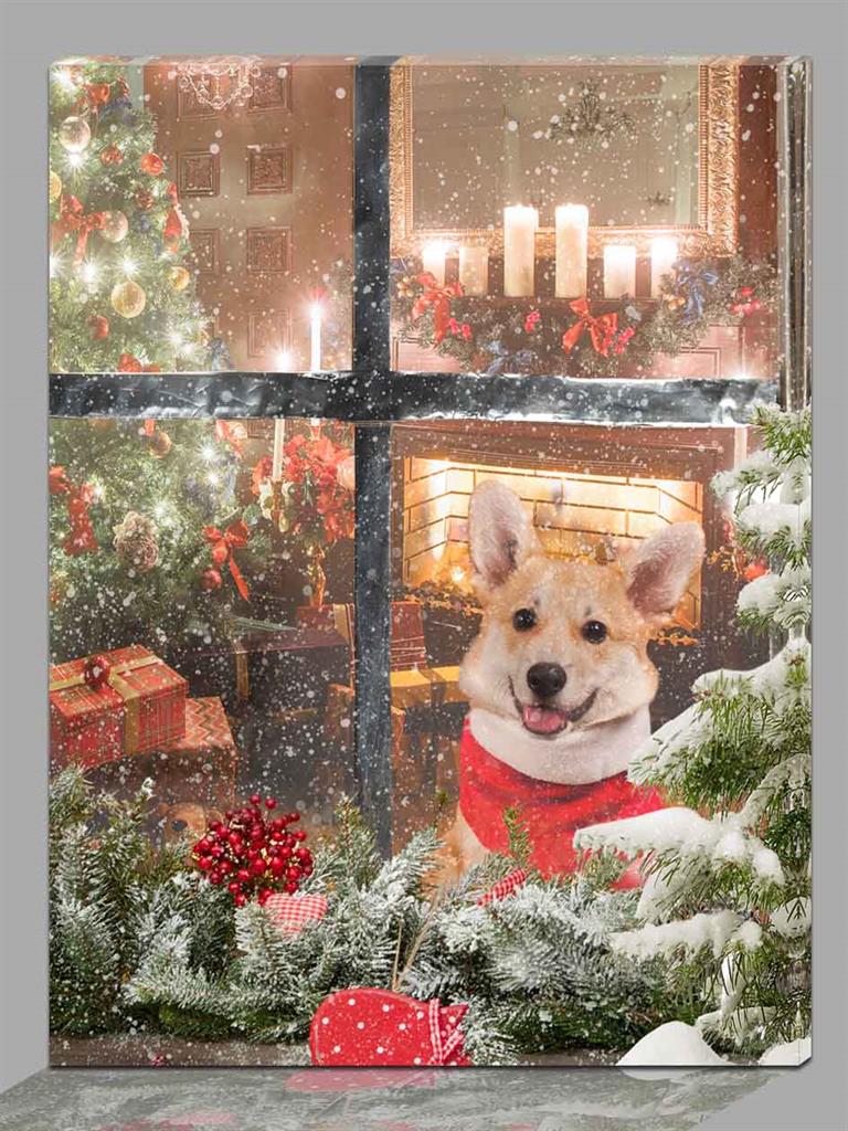 LED Bild aus Canvas Motive: Hunde am Fenster
4 LED