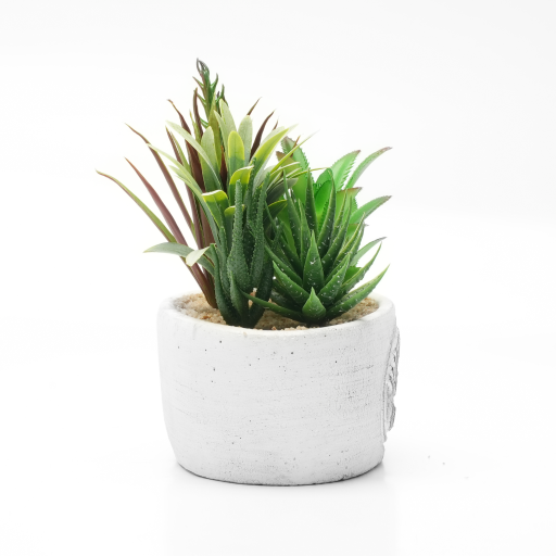 Kunstblume Sukkulenten im Beton Topf  "Welcome" 
H: 16cm B: 20cm T: 11cm