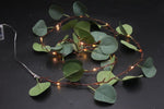 Guirlandes lumineuses LED
 Feuilles d'eucalyptus
 avec 20 LED
 Longueur 180cm