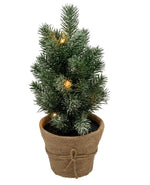 LED Tannenbaum im Topf 
mit 5 LED Lichterkette
mit wenig Schnee bedeckt
D:18cm H:30cm