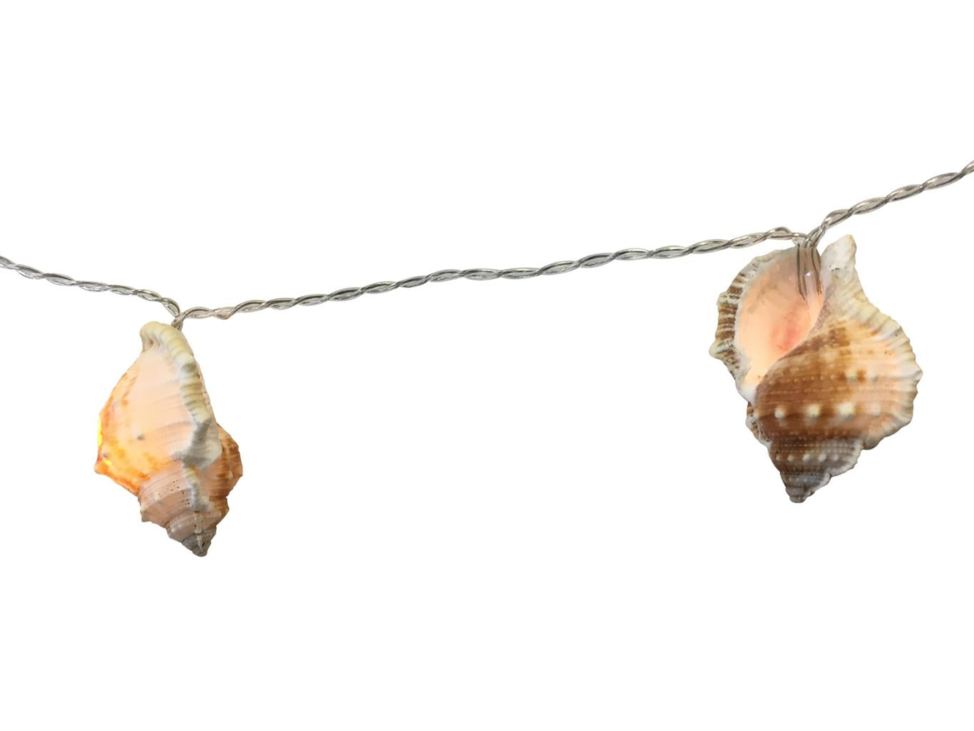 LED Lichterkette Maritim "Muschel" 10 LED L: 135cm