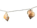 LED Lichterkette Maritim "Muschel" 10 LED L: 135cm