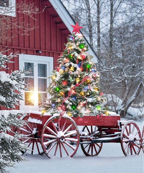 LED Bild aus Canvas
Motive: Roter Wagen
1 LED und 20 Fibre Optic
L:40cm B:1.8cm H:50cm