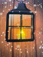 LED Kissen mit Reisverschluss 
und 1 LED 
Motiv: Wichtel und Laterne 
Grösse: 40cmx40cm