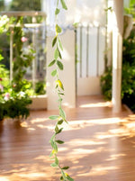 LED Lichterkette mit künstlichen Weidenblättern
L:300cm - 30 LEDs