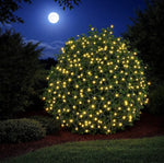 LED Outdoor Lichternetz 240 LED warm weisses Licht 150x150cm Kabelfarbe: Grün