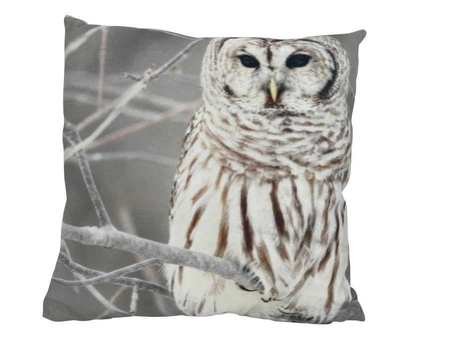 Kissen mit Eule Motiv
mit Reisverschluss
Grösse: 40cmx40cm 
Digitaldruck einseitig