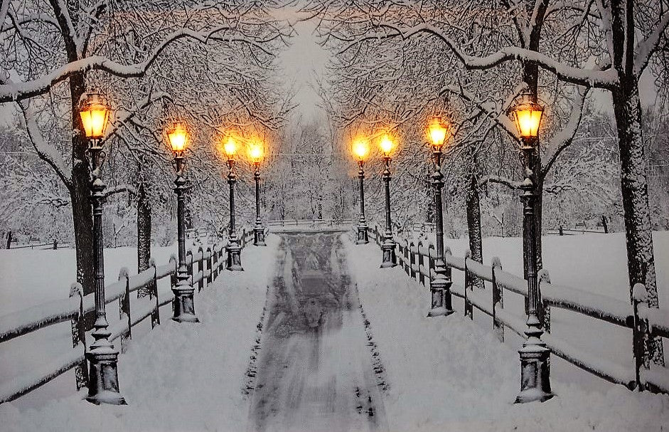 LED Bild aus Canvas mit 8 LED 
Motiv: Verschneite Allee 
B:40cm H:30cm T:1.8cm