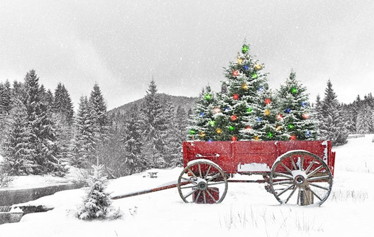 LED Bild aus Canvas
Motive: Leiterwagen
30 Fibre Optics