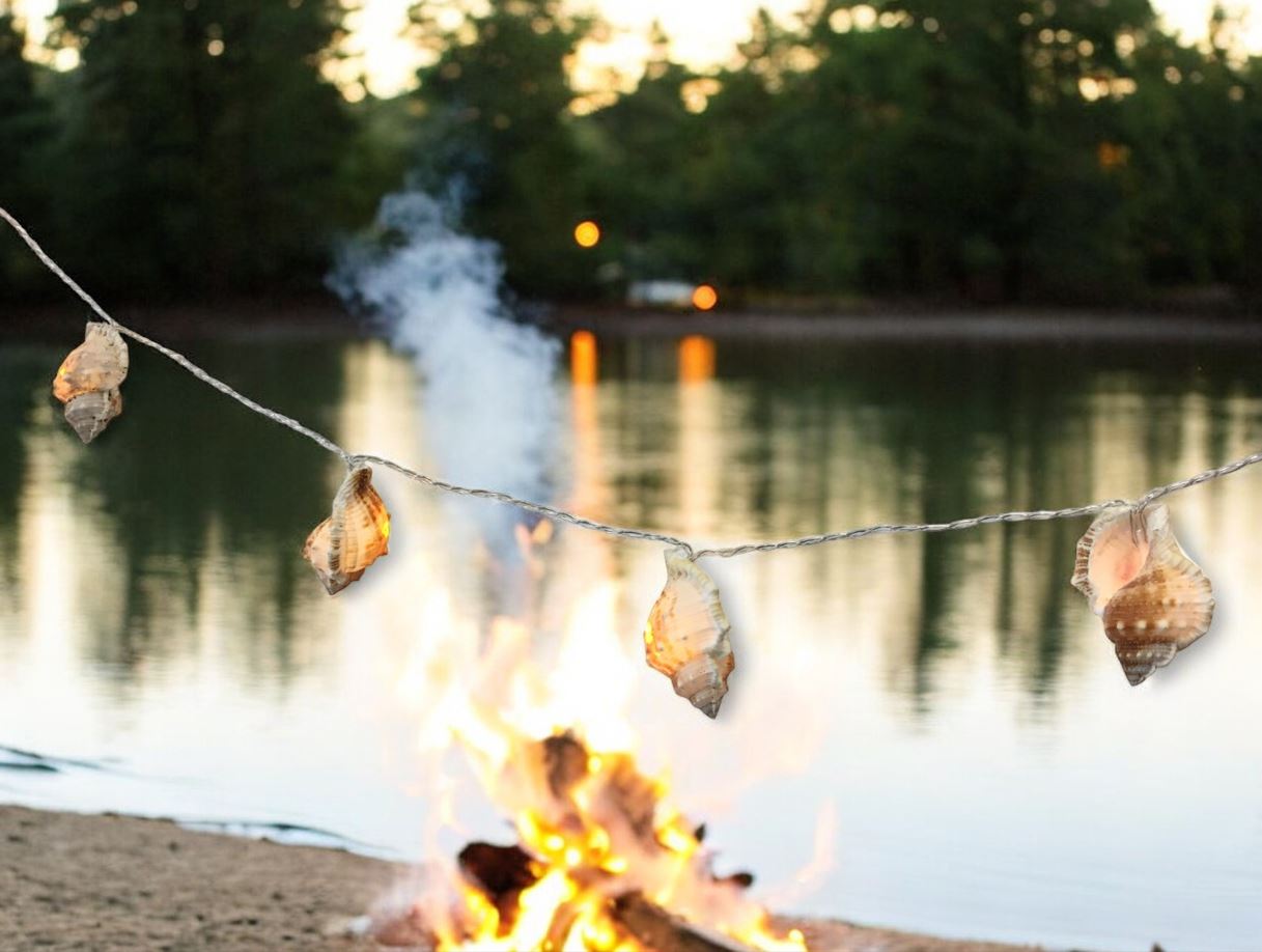 LED Lichterkette Maritim "Muschel" 10 LED L: 135cm