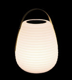 LED Solar Leuchte mit Henkel 
Rotationslampe mit Fernbedienung
Grösse: 20x20x28cm