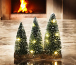 LED Tannenbäume (3 Stk) 
auf Holzsockel 
mit Total 10 LED 
L7cmxB22.xH22cm